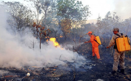 Governo do Tocantins divulga boletim climático que aponta aumento no número de focos de incêndio 