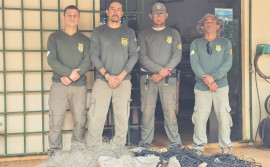 Naturatins realiza fiscalização ambiental nas regiões centro-oeste e sul do estado
