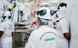 Governo do Tocantins concede selo de inspeção de equivalência federal para frigorífico em Miranorte