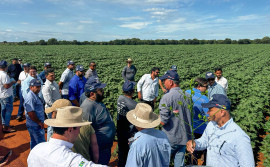 Caravana da Produção de Grãos, realizada pelo Governo do Tocantins, segue com apresentações de tecnologias agrícolas no sul do Tocantins