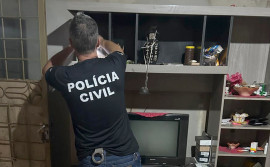 Polícia Civil do Tocantins participa da Operação Pharos contra crimes de exploração sexual infantil na internet