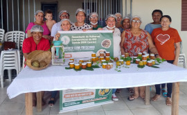 Com apoio do Naturatins, mulheres extrativistas de Araguacema participam de oficina de geleias com frutos do Cerrado
