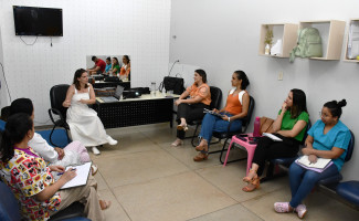 SES-TO capacita equipe de reabilitação sobre análise funcional