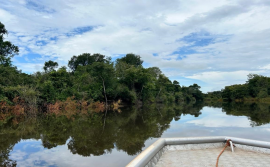 Naturatins conclui plano preliminar de revezamento das captações para gestão sustentável da água na Bacia do Rio Formoso