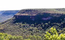 Governo do Tocantins cria comissão estadual de validação e acompanhamento de pagamento por serviços ambientais
