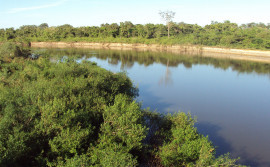 Governo do Tocantins publica lista preliminar de candidatos habilitados a concorrerem a uma vaga nos comitês de bacias do Lago de Palmas e Rio Formoso