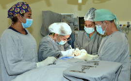 Ações estratégicas do Governo do Tocantins garantem a realização de mais de 50 mil cirurgias eletivas
