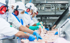 Adapec alerta empresários de estabelecimentos com registro no SIE a realizarem recadastramento obrigatório até 31 de março 
