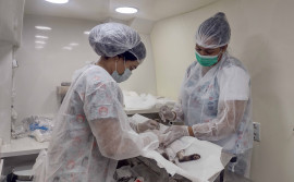 Em Gurupi, Semarh promove 2ª Feira Estadual de Adoção Pet do projeto "Bicho não é lixo"