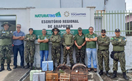 Naturatins realiza Operação Pássaro Livre e apreende 72 aves silvestres no Tocantins