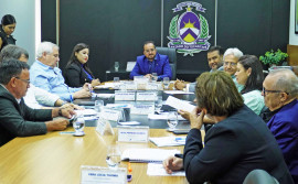 Conselho de Desenvolvimento Econômico do Tocantins aprova aporte de R$ 600 mil para realização da Expoara 2025