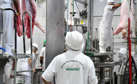 Adapec habilita primeiro frigorífico de abate de suínos com registro no Serviço de Inspeção Estadual