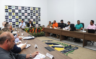 Membros do Conselho de Segurança Pública do Tocantins ajustam calendário para revisar regimento interno 
