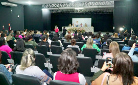 Governo do Tocantins promove capacitação sobre prevenção à violência doméstica contra crianças e adolescentes para municípios da região sul do estado