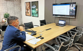 Comitê Pró-Animais aprova texto para decreto regulamentar da Lei que garante o direito de fornecer alimento a animais em situação de rua
