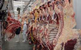 Governo do Tocantins promove encontro de secretários municipais para adesão sanitária de produtos de origem animal 