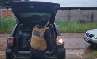 Operação Serpens: Polícia Civil cumpre mandados de prisão e de busca na residência de casal investigado por tentativa de homicídio em Palmas