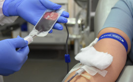 SES/TO divulga funcionamento da Hemorrede durante feriado da Semana Santa

 