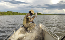 Naturatins apreende 5,5 mil metros de redes e coíbe pesca predatória no Lago