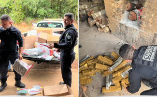 Operação Protetor: Polícia Civil incinera entorpecentes apreendidos por forças de segurança no sul do Estado