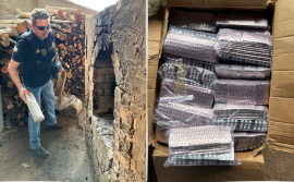 Operação Protetor: Polícia Civil incinera entorpecentes apreendidos por forças de segurança no sul do estado