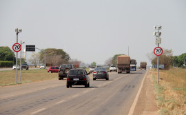 Governo do Tocantins disponibiliza dois novos serviços da Ageto por meio do Portal de Serviços
