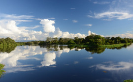 Naturatins abre convocação para instituições interessadas em integrar o Conselho Gestor da APA Ilha do Bananal/Cantão

