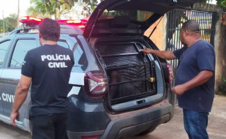 Polícia Civil prende homem investigado por estupro de vulnerável ocorrido em Paranã