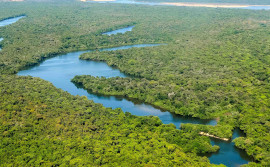 Tocantins lidera na Região Norte com maior índice de recuperação de áreas degradadas

