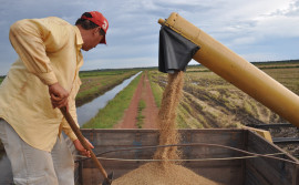 Tocantins é o 3º estado com maior crescimento da produção agrícola entre 2018 e 2023