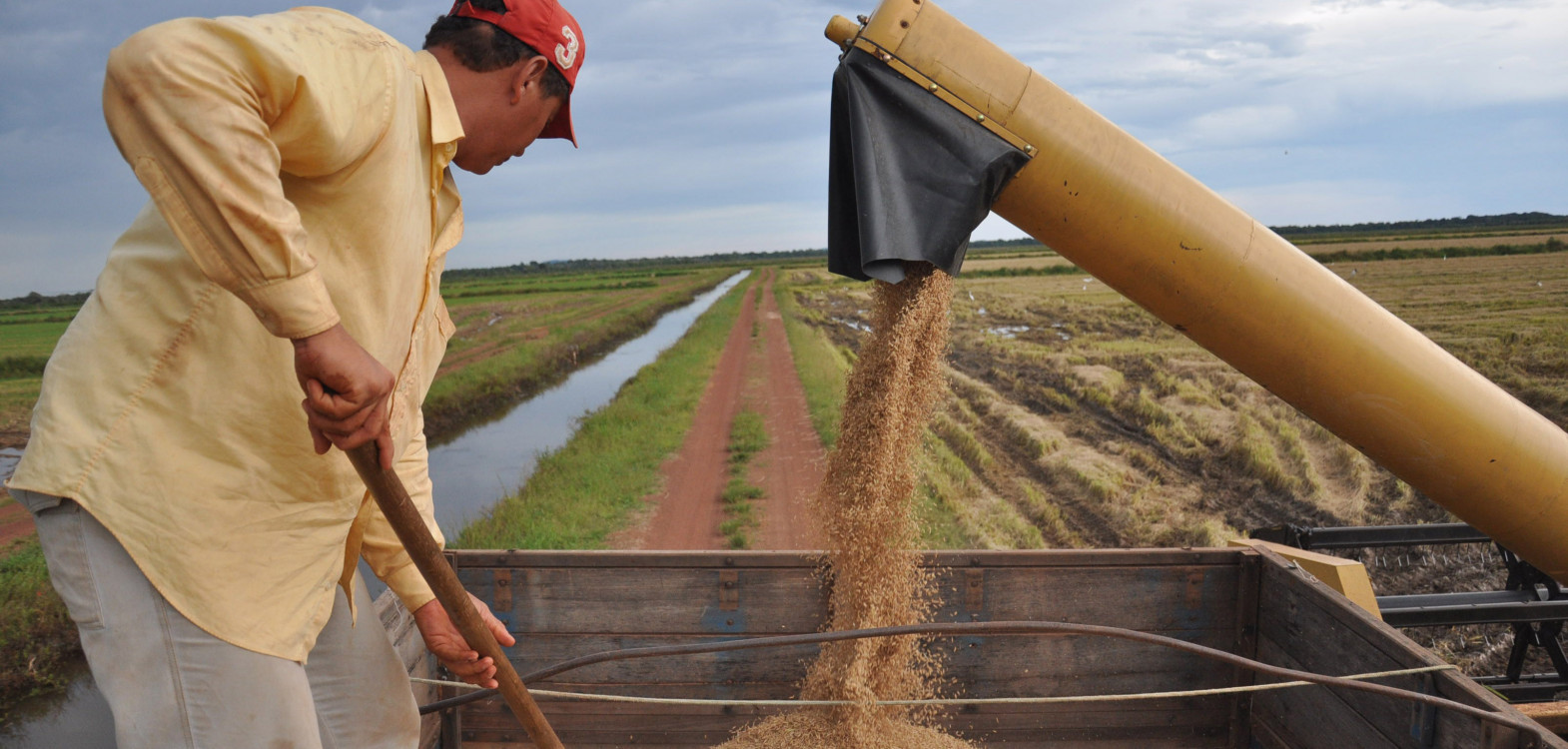 Tocantins registrou um crescimento do valor bruto da produção agrícola de 250% entre os anos de 2018 e 2023 