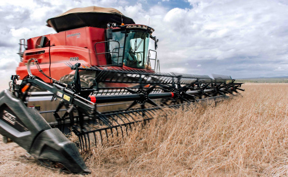 Tocantins é o 3º estado que mais cresceu no valor da produção agrícola entre 2018 e 2023