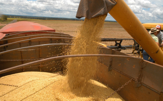 Tocantins é o 3º estado que mais cresceu no valor da produção agrícola entre 2018 e 2023