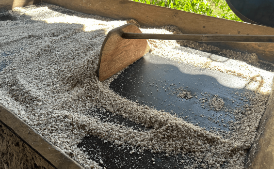Com apoio do Governo do Tocantins, oficina de produção de óleo de coco babaçu fortalece trabalho das mulheres agroextrativistas em Araguacema