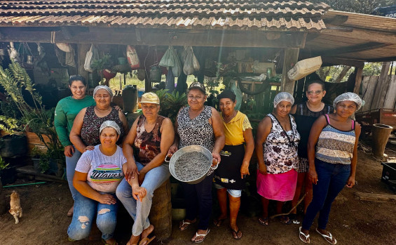 Com apoio do Governo do Tocantins, oficina de produção de óleo de coco babaçu fortalece trabalho das mulheres agroextrativistas em Araguacema