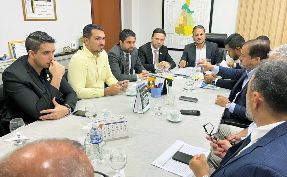 Governo do Tocantins publica decreto que cria grupo de trabalho interinstitucional entre estado e município de Palmas