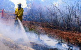 Inscrições para curso de brigadistas voluntários do Governo do Tocantins seguem até este domingo,18 
