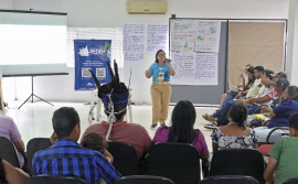 Governo do Tocantins realiza oficinas participativas simultâneas de REDD+ no sul do estado