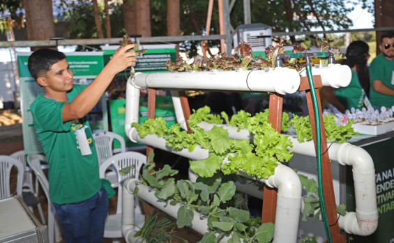 Na Agrotins 25 anos, instituições de ensino apresentam como a ciência está transformando o campo no Tocantins