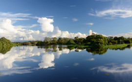 Naturatins divulga entidades habilitadas para concorrer a uma vaga no Conselho Gestor da APA Ilha do Bananal/Cantão