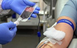 Hemorrede do Tocantins convoca com urgência doadores de sangue