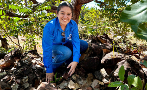 Naturatins e Unitins reintroduzem exemplares de bromélias à natureza e reforçam a preservação do Cerrado tocantinense