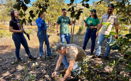 Naturatins e Unitins reintroduzem exemplares de bromélias na natureza e reforçam a preservação do Cerrado tocantinense