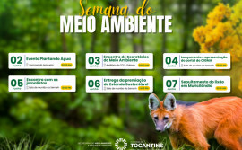 Governo do Tocantins promove Semana do Meio Ambiente, com foco na sustentabilidade e na preservação ambiental
