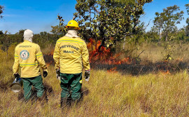 Naturatins e Ibama fortalecem parceria com intercâmbio sobre Manejo Integrado do Fogo