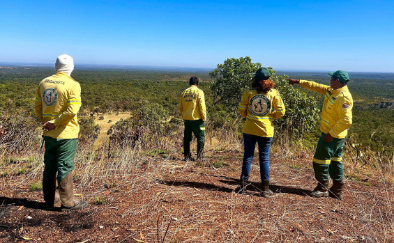 Naturatins e Ibama fortalecem parceria com intercâmbio sobre Manejo Integrado do Fogo