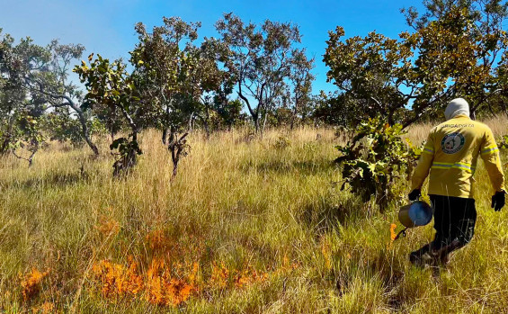 Naturatins e Ibama fortalecem parceria com intercâmbio sobre Manejo Integrado do Fogo