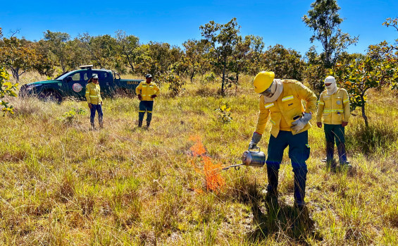 Naturatins e Ibama fortalecem parceria com intercâmbio sobre Manejo Integrado do Fogo