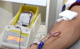 Governo do Tocantins promove campanha Junho Vermelho para conscientizar população para doação de sangue