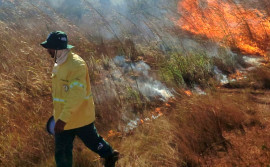 Naturatins realiza queima prescrita na região do Parque Estadual do Cantão